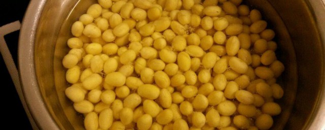大豆怎样吃 大豆怎样吃