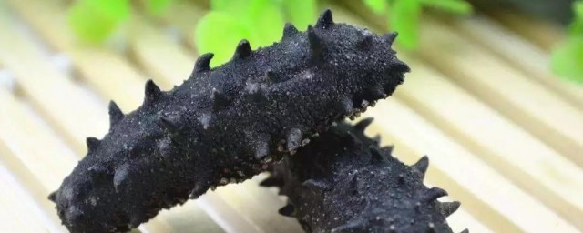 海参的清洗方法 海参要如何洗才干净