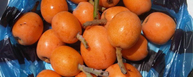 枇杷炖蜂蜜的技巧 怎样做枇杷炖蜂蜜