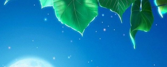 2023有哪些让人过目不忘的网名 让人过目不忘的网名大全
