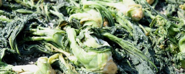 梅菜和芥菜的区别是什么 如何区别梅菜和芥菜