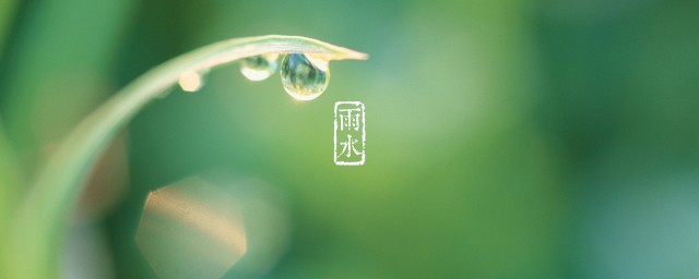 雨水节气吃什么 雨水节气可以吃这些