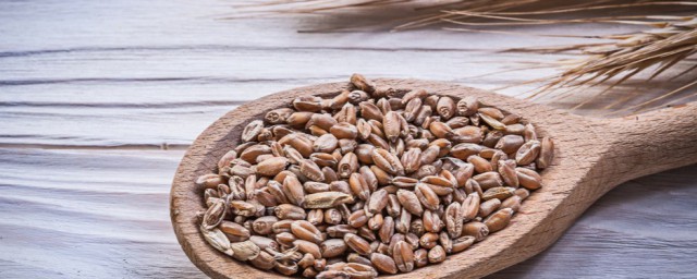 黑麦是什么 黑麦的简单简介