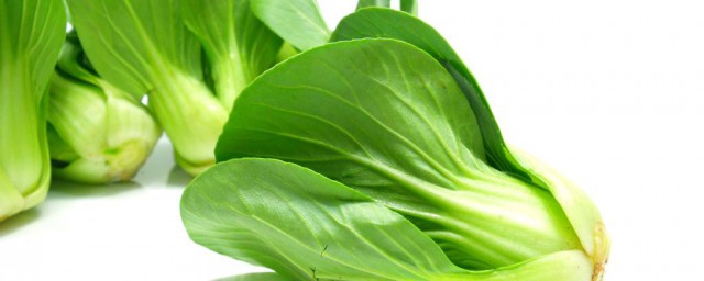青菜去虫技巧 这些技巧可以去虫子