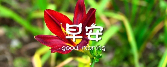 早安语言发朋友圈 早安语录适合发朋友圈早安的句子