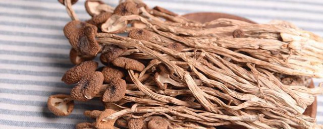 干的茶树姑保存方式 干的茶树姑保存办法介绍