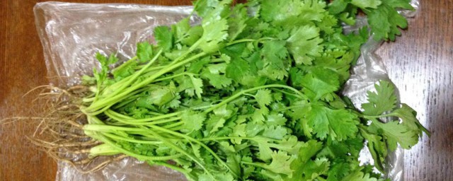 香菜保存技巧 香菜怎样保存