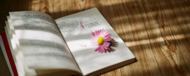 描写深夜饭堂的优美句子 描写深夜饭堂的优美句子精选