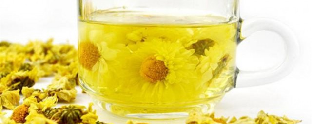 生菊花怎么做茶 生菊花做茶要领