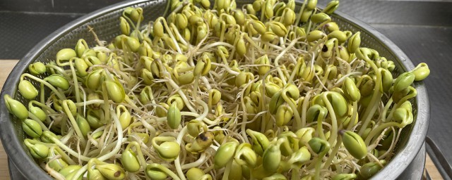 怎样做绿豆芽 自己在家做绿豆芽的次序简介
