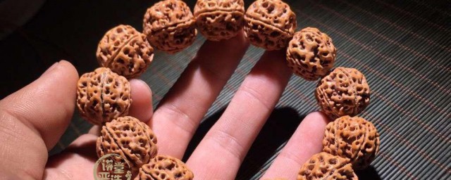 菩提的功效与作用与忌讳 菩提戴上有什么好处