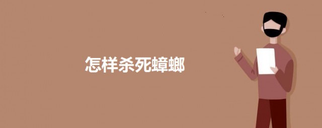 怎么杀死蟑螂 杀死蟑螂的方法