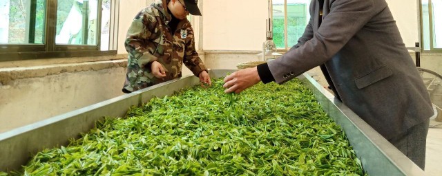 茶博士和酒博士是什么意思 茶博士和酒博士简单介绍