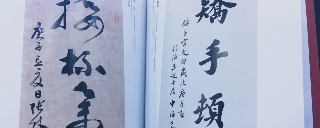 名字的来历如何写三年级的 名字的来历是如何的