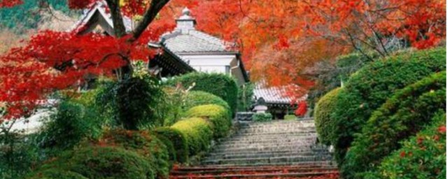 香山在哪个城市 香山的特点是什么