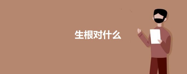 生根对什么 关于生根对什么的简介