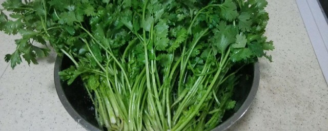 香菜如何储存 香菜吃不完了可以如何保存