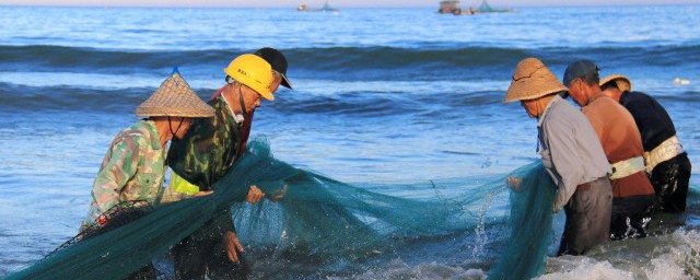 青魚如何保鲜 青魚保鲜的方式