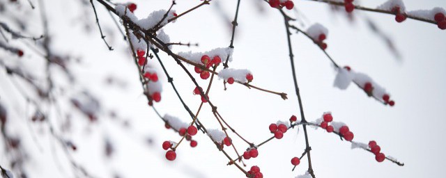 描写雪景的唯美简短句子有哪些 描写雪景超唯美的短句