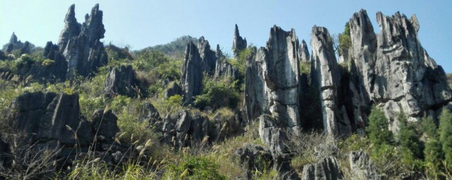 石林和峰林的区别 石林和峰林简介