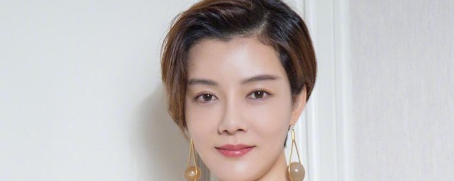 车晓作品简介 车晓作品有什么
