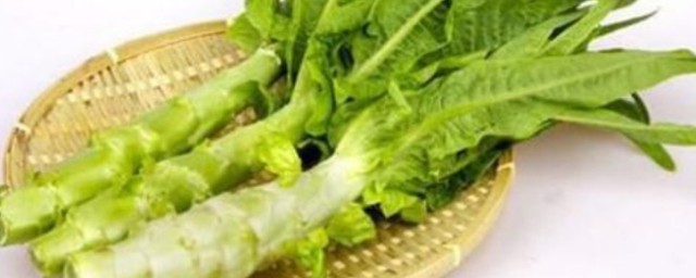 种青笋的方式和步骤 青笋如何种植