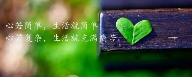 富有哲理好句子 富有哲理的经曲好句子