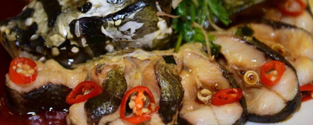 清蒸鲶鱼做法次序 清蒸鲶鱼的烹饪技巧