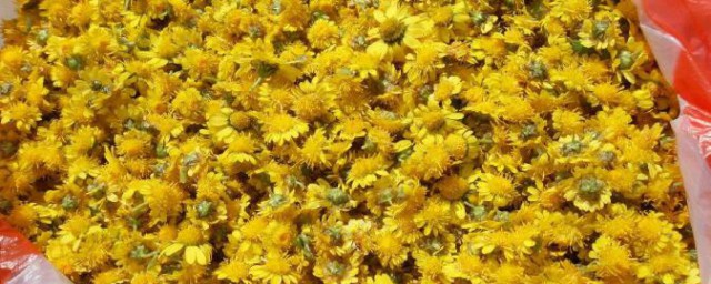菊花干燥处理要领 菊花的干燥要领有哪些