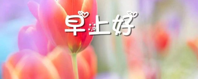 每日一句早安心语正能量语录 每日一句早安心语正能量句子有哪些
