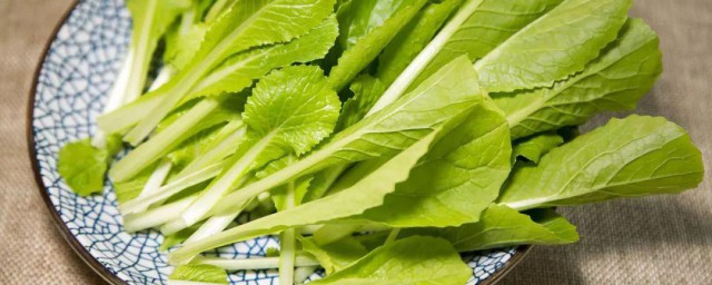 小白菜怎样存放 保存小白菜的诀窍