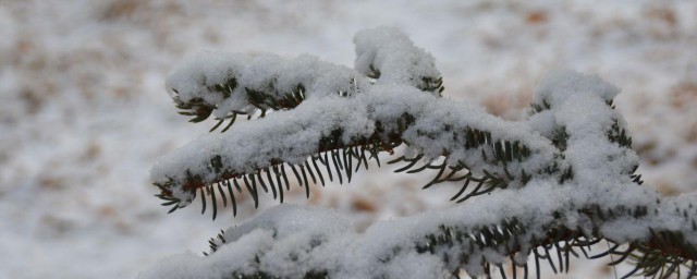 初雪发朋友圈句子 初雪的唯美说说发朋友圈