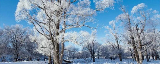 关于雪的发朋友圈句子 下雪的唯美句子