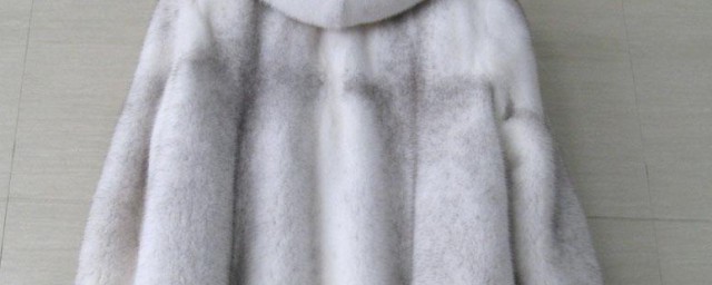 水貂衣服怎样存放 精确存放水貂衣服技巧
