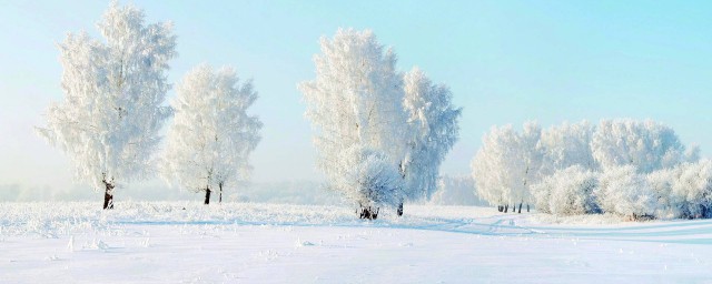 关于下雪的文案 和雪有关的句子精选