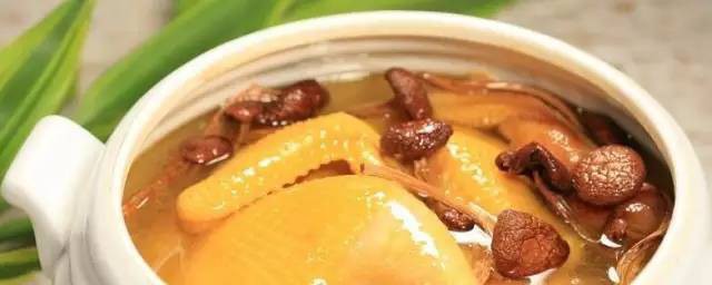 鸡肉怎样做汤 鸡肉汤的烹饪技巧