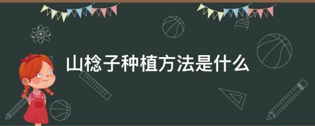 山棯子种植方法是什么 如何种植山棯子