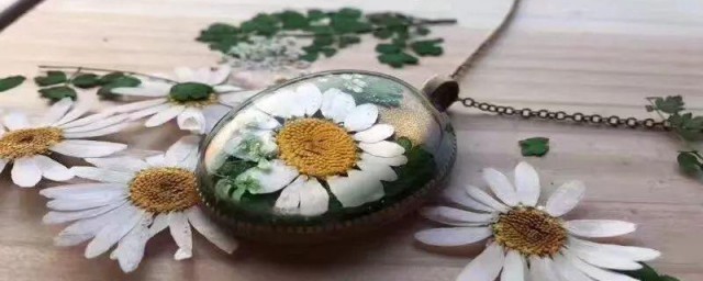 鲜花压花方法 怎么简单制作压花