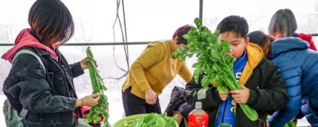 择菜洗菜的精确技巧 择菜洗菜技巧如下