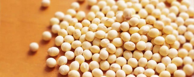 大豆育种的主要方法有哪些 大豆育种的主要要领介绍