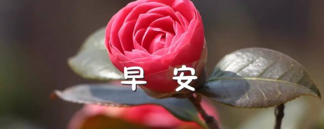 周末早安问候语简短一句话 简短周末早安问候语