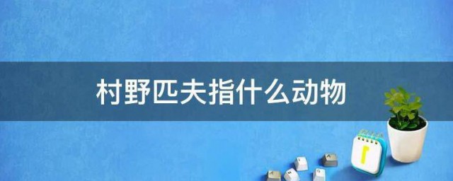 村野匹夫指什么动物 村野匹夫说的是什么动物