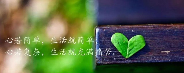 关于人生感悟的句子唯美 感叹人生的句子推荐