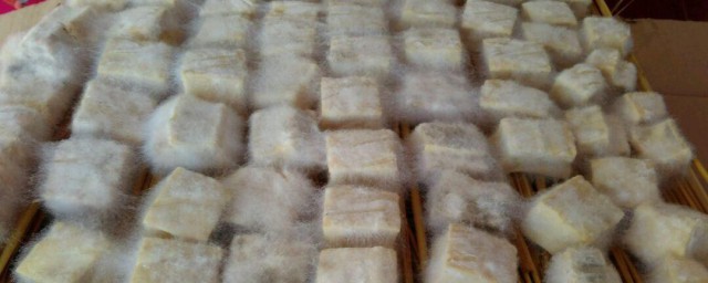 腐乳的制作技巧次序 腐乳怎样制作