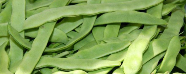 扁豆怎样存放 扁豆吃不完怎样保存