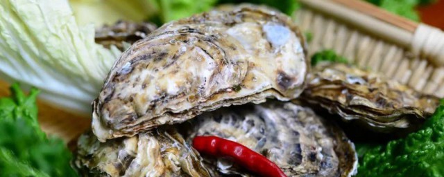 夏补阳冬补阴技巧 怎样夏补阳冬补阴