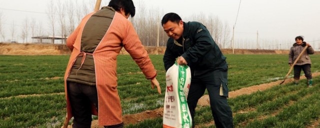 施用氮肥的方式 常见几种氮肥的施用要领