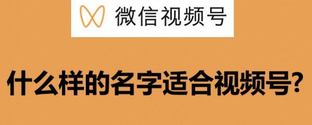 视频号名字怎么取好听 微信视频号名字如何取好听