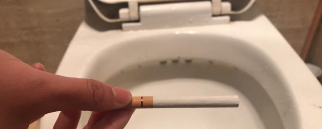 厕所返臭什么原因 厕所返臭的原因