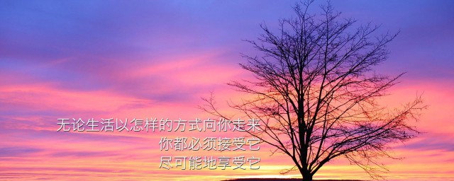 青春唯美励志留言句子精选 正能量的句子推荐